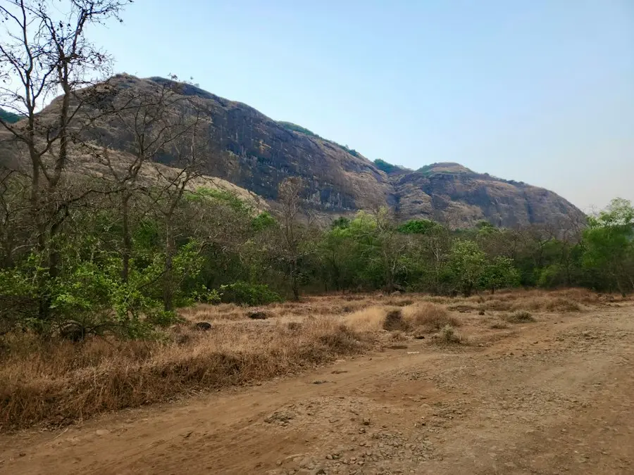 Hiker on a trail recording an outing