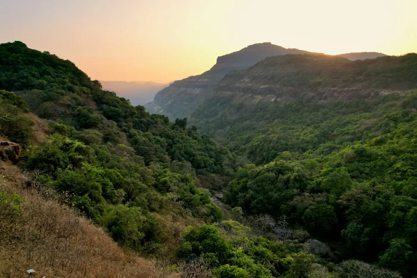 Dusk over forested hills
